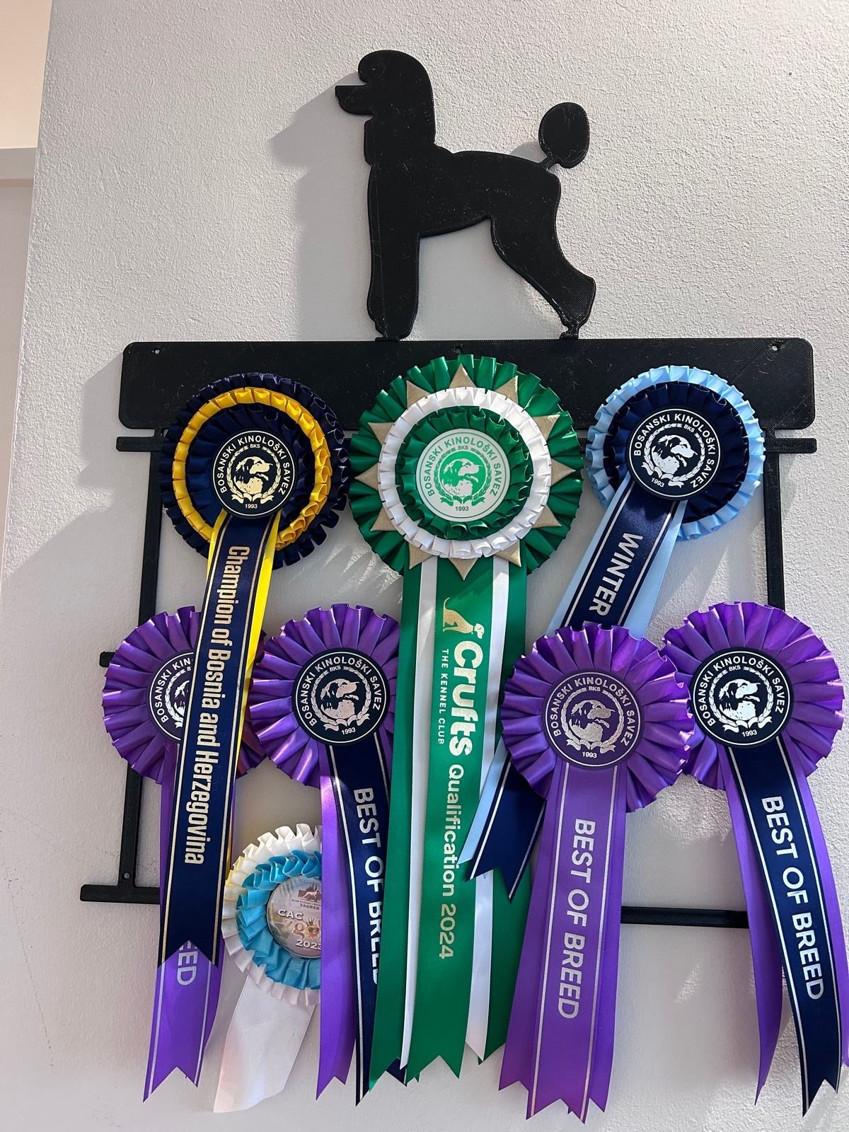 Wall holder for medals/recognitions